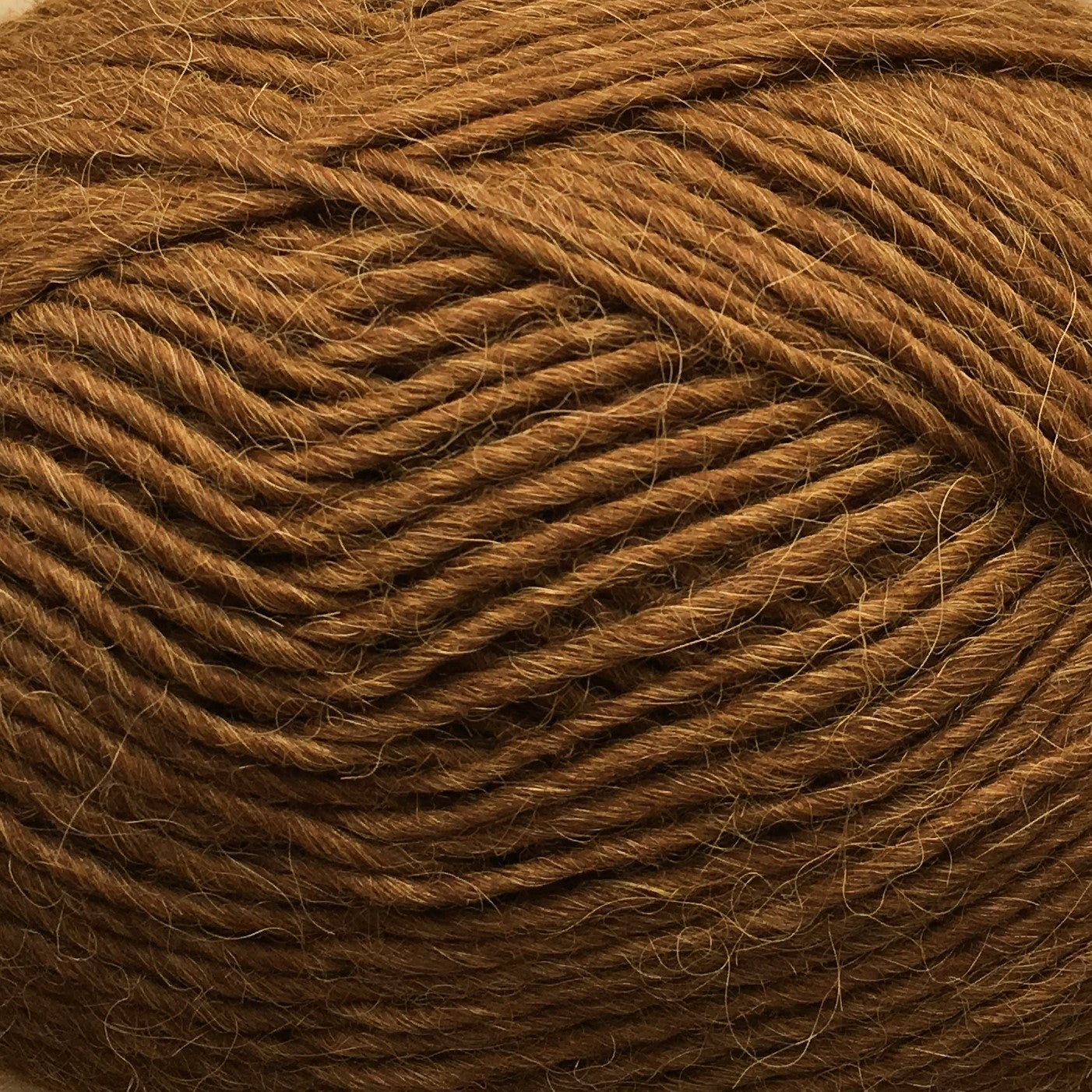 LAMAOULD / Llama  DARK MUSTARD - 6092