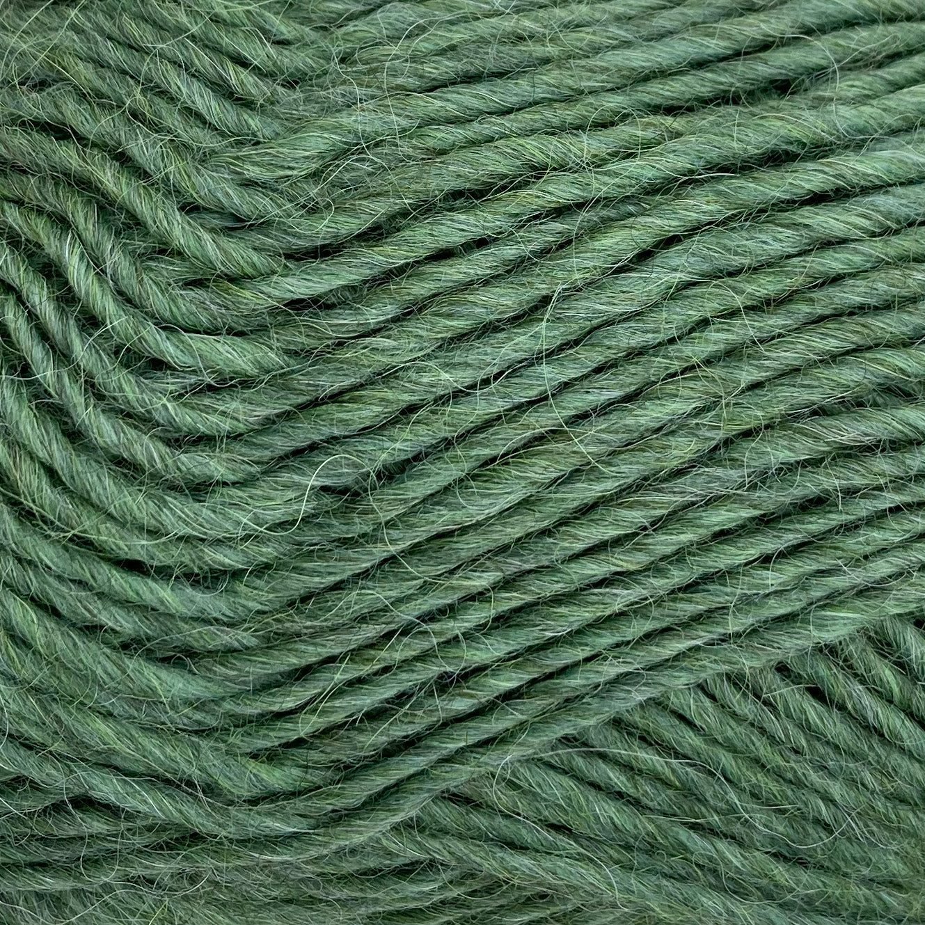 LAMAOULD / Llama DARK AVOCADO - 6120
